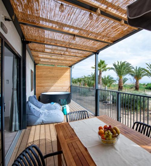 Terrace with sea view, palm trees, and hot tub.